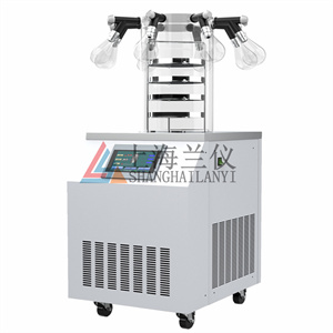 LGJ-12N/C掛瓶多歧管型真空冷凍干燥器